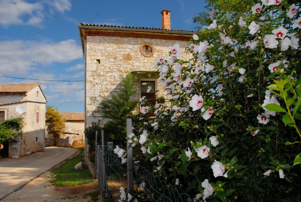 Nature House Jasenka Nova Vas  Εξωτερικό φωτογραφία